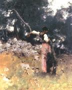 John Singer Sargent Portrait of Rosina oil painting artist